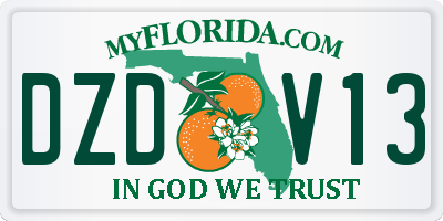 FL license plate DZDV13