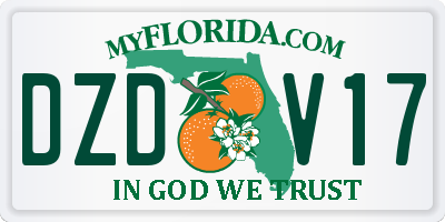 FL license plate DZDV17