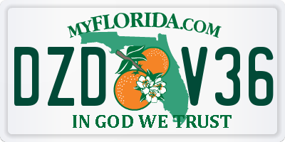 FL license plate DZDV36