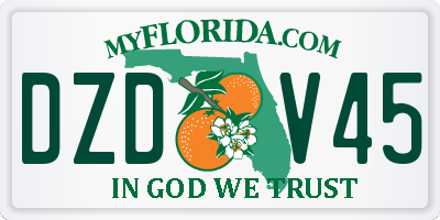 FL license plate DZDV45