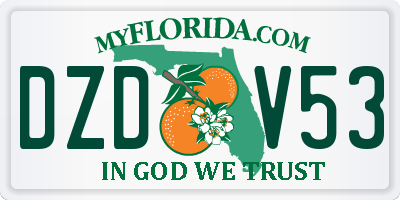 FL license plate DZDV53