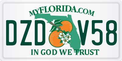 FL license plate DZDV58