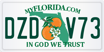 FL license plate DZDV73