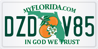 FL license plate DZDV85