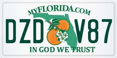 FL license plate DZDV87