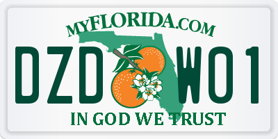 FL license plate DZDW01