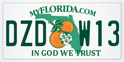 FL license plate DZDW13