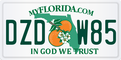 FL license plate DZDW85