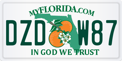 FL license plate DZDW87