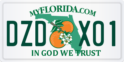 FL license plate DZDX01