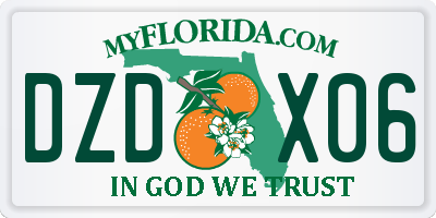 FL license plate DZDX06