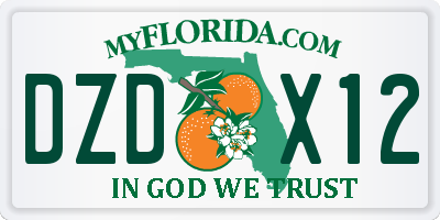 FL license plate DZDX12