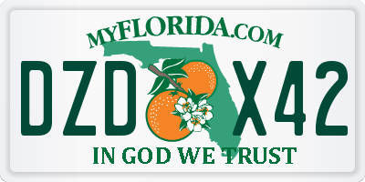 FL license plate DZDX42