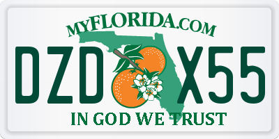 FL license plate DZDX55