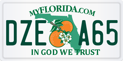 FL license plate DZEA65