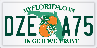FL license plate DZEA75