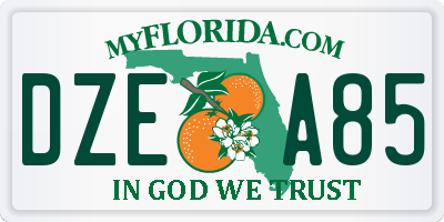 FL license plate DZEA85