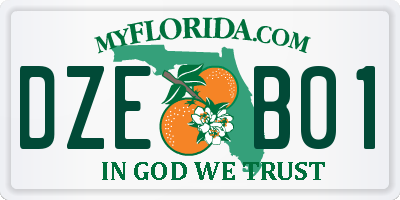 FL license plate DZEB01
