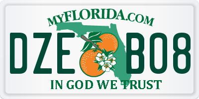 FL license plate DZEB08