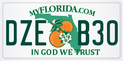 FL license plate DZEB30