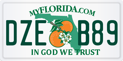 FL license plate DZEB89