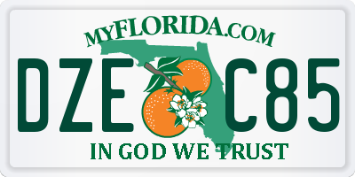 FL license plate DZEC85