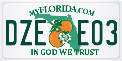 FL license plate DZEE03