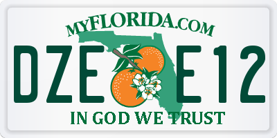 FL license plate DZEE12