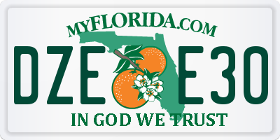 FL license plate DZEE30