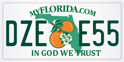 FL license plate DZEE55