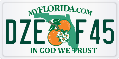 FL license plate DZEF45