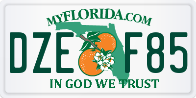 FL license plate DZEF85