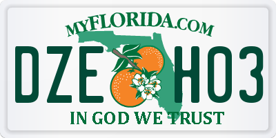 FL license plate DZEH03