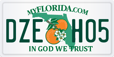 FL license plate DZEH05