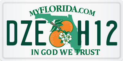 FL license plate DZEH12