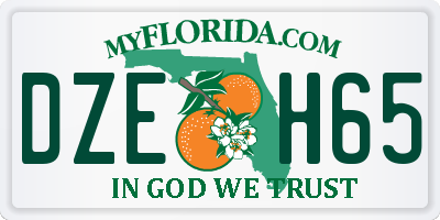 FL license plate DZEH65