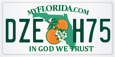 FL license plate DZEH75