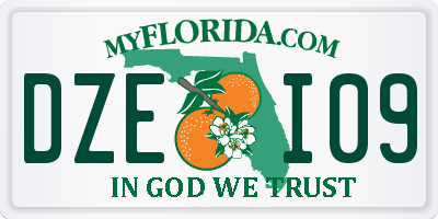 FL license plate DZEI09