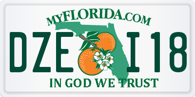 FL license plate DZEI18