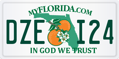 FL license plate DZEI24