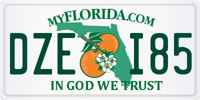 FL license plate DZEI85