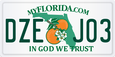 FL license plate DZEJ03