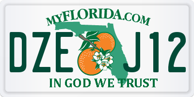 FL license plate DZEJ12