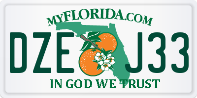 FL license plate DZEJ33