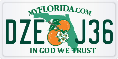 FL license plate DZEJ36