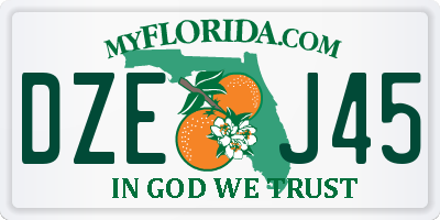 FL license plate DZEJ45