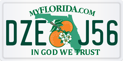 FL license plate DZEJ56