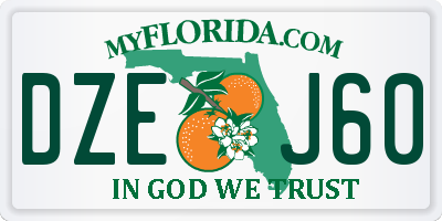 FL license plate DZEJ60