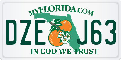 FL license plate DZEJ63