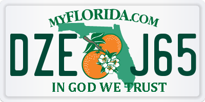 FL license plate DZEJ65